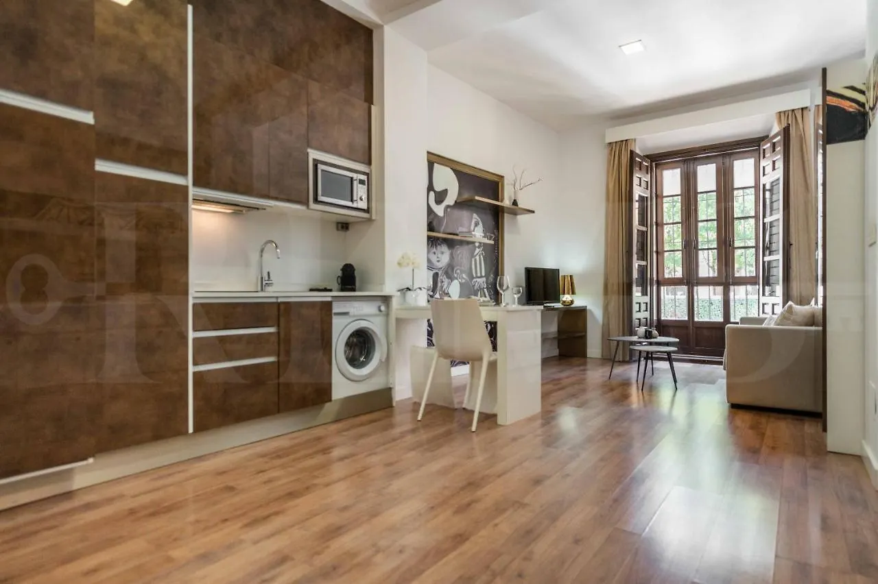 Central & Cosy Studio In Front Of Picasso Museum By Rems Malaga Spain